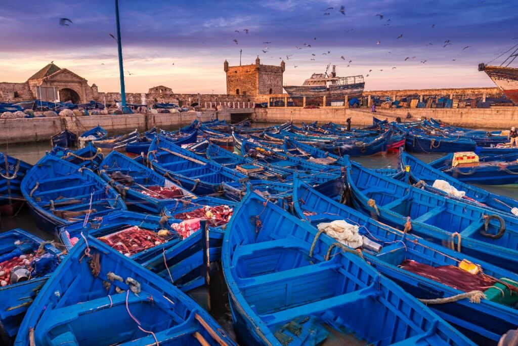 8 days tour from Tangier to Casablanca - Essaouira - Marrakech. Ruta de 8 días desde Tánger